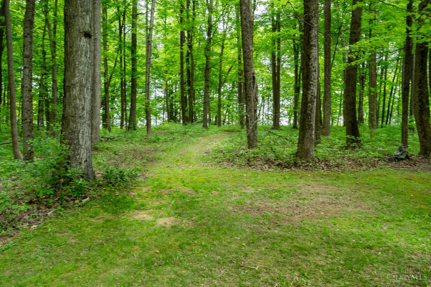 4724 Bennington Road, Washington, Ohio image 36