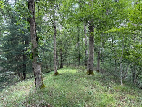 Vacant Land For Sale - 1323 Beaver Pond Road<br/> Peebles, OH 45660