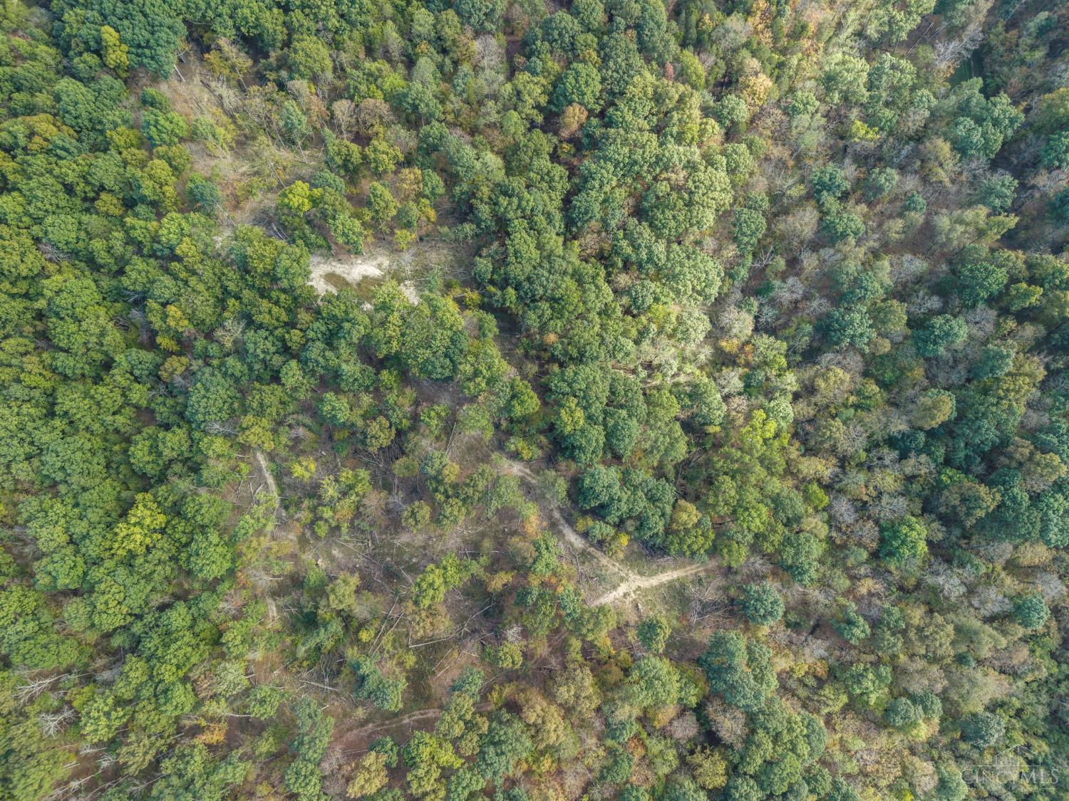 1318 Greenbrier Road