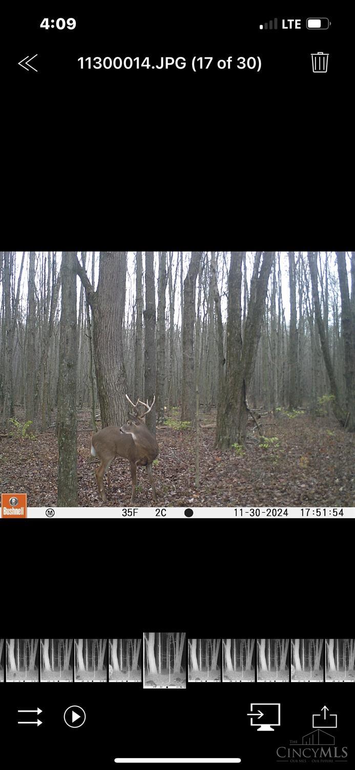3644 Greenbush West Road, Mt Orab, Ohio image 25