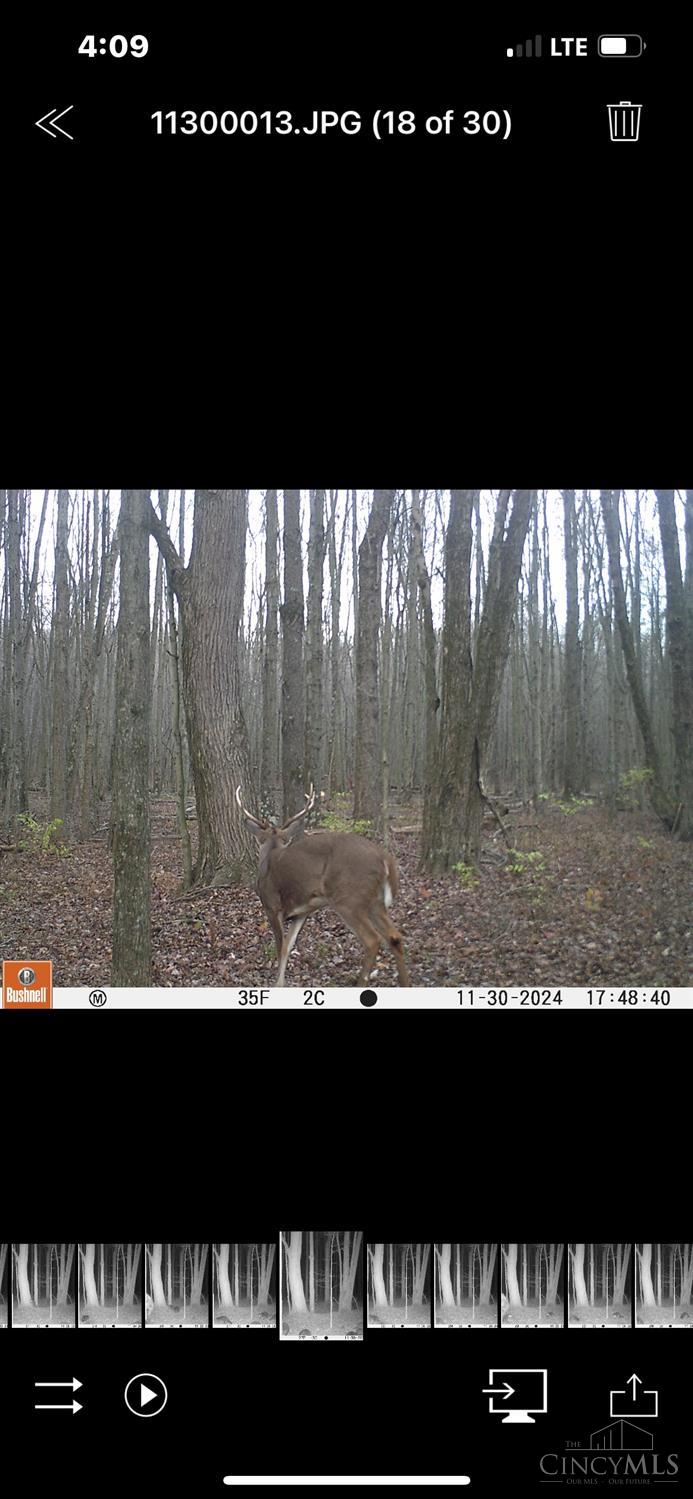 3644 Greenbush West Road, Mt Orab, Ohio image 24