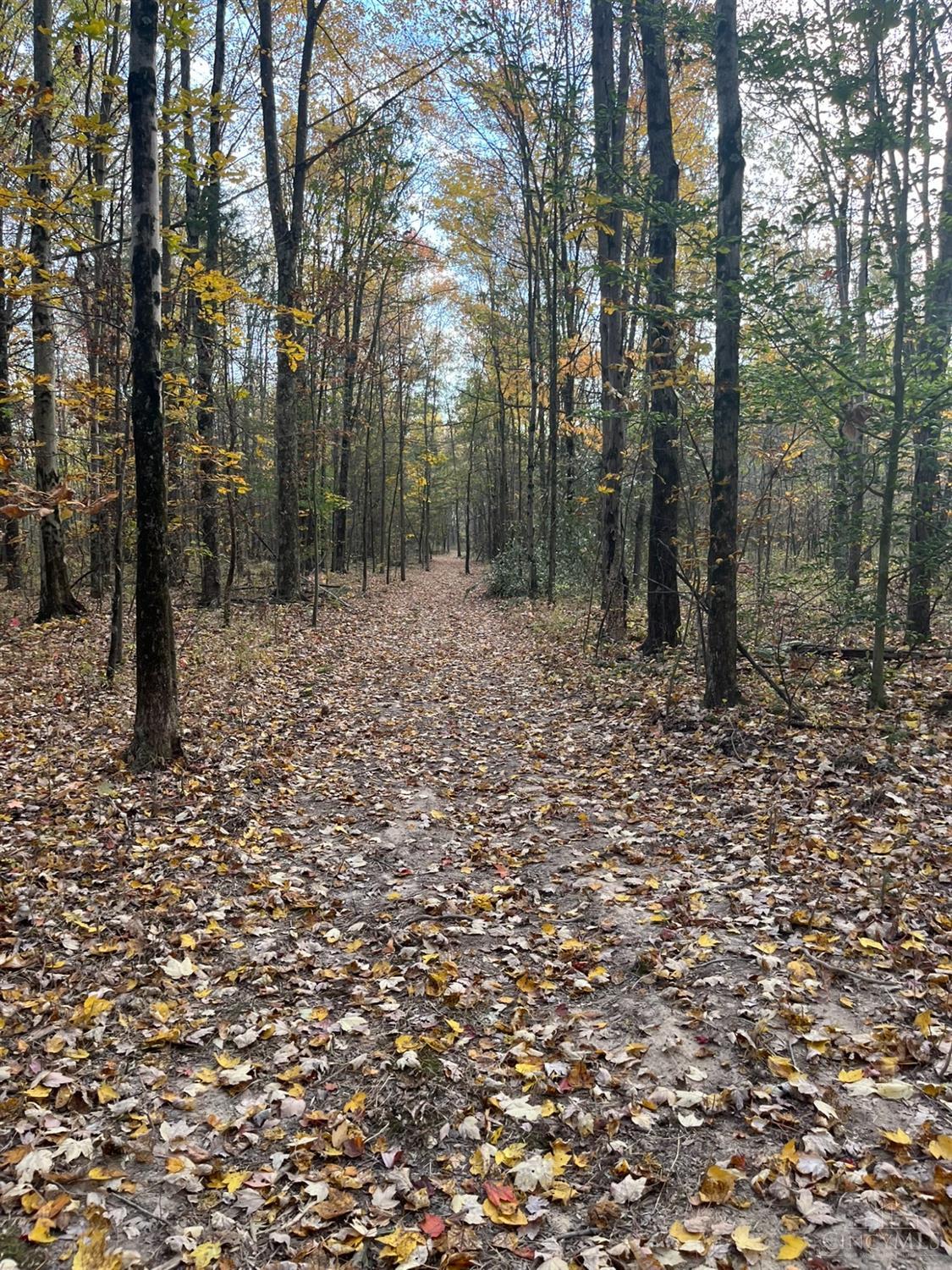 3644 Greenbush West Road, Mt Orab, Ohio image 14