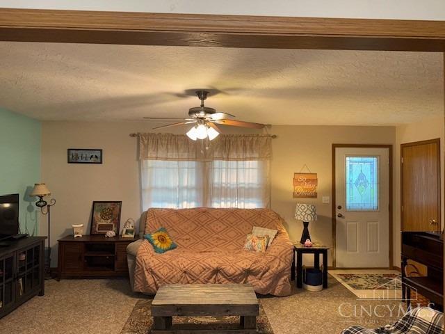 65 Douglas Circle, Georgetown, Ohio image 29