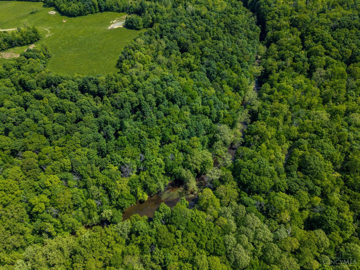 7385 Cave Road, Paint Twp, Ohio image 15