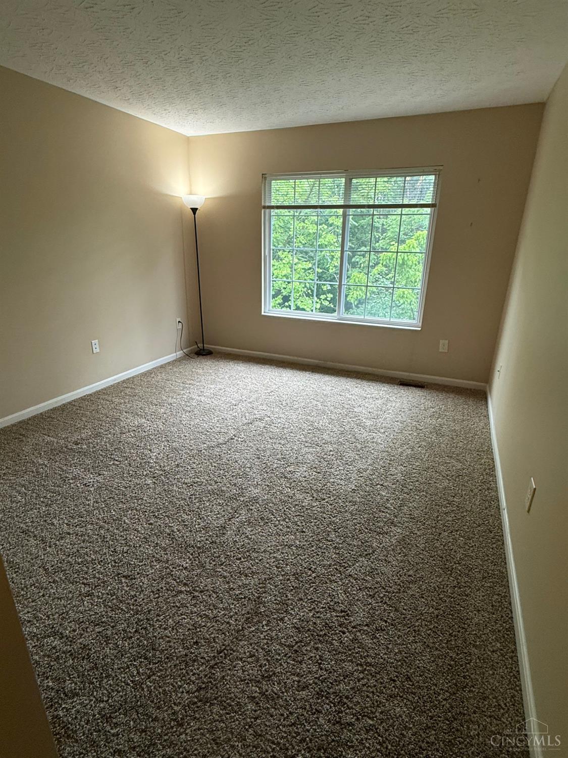 5949 Castlewood Crossing, Milford, Ohio image 11