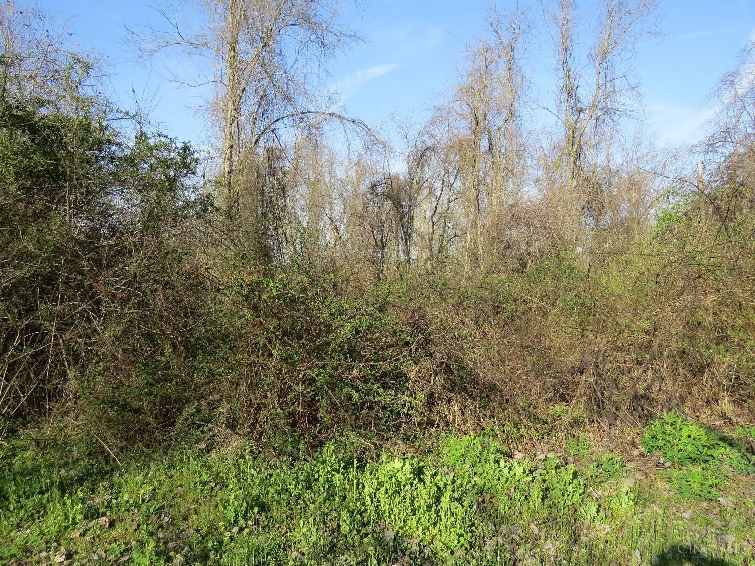 2740 High Street, Patriot, Indiana image 12
