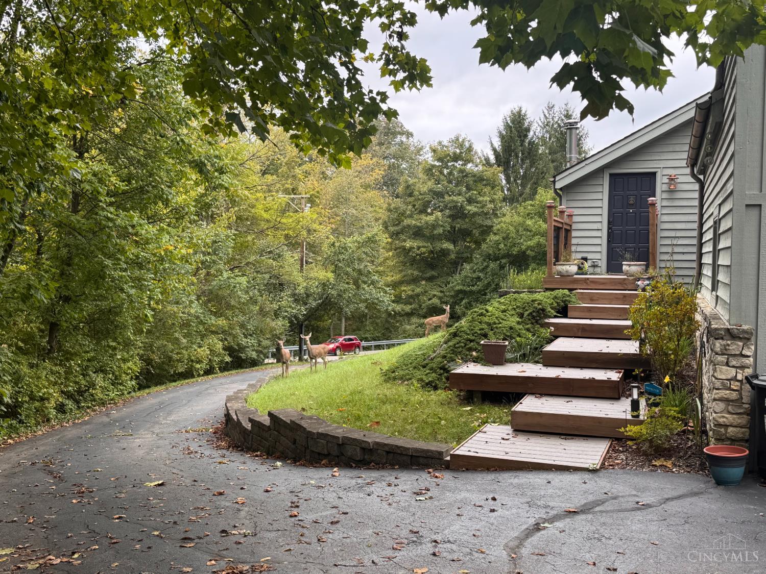 1061 Witt Road