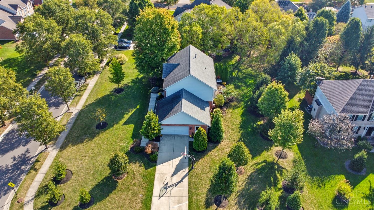 3882 Crooked Tree Drive