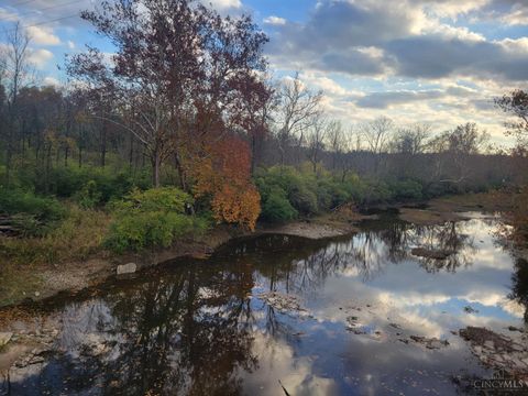 Vacant Land For Sale - ACRES Dela Palma Road<br/> Williamsburg, OH 45176