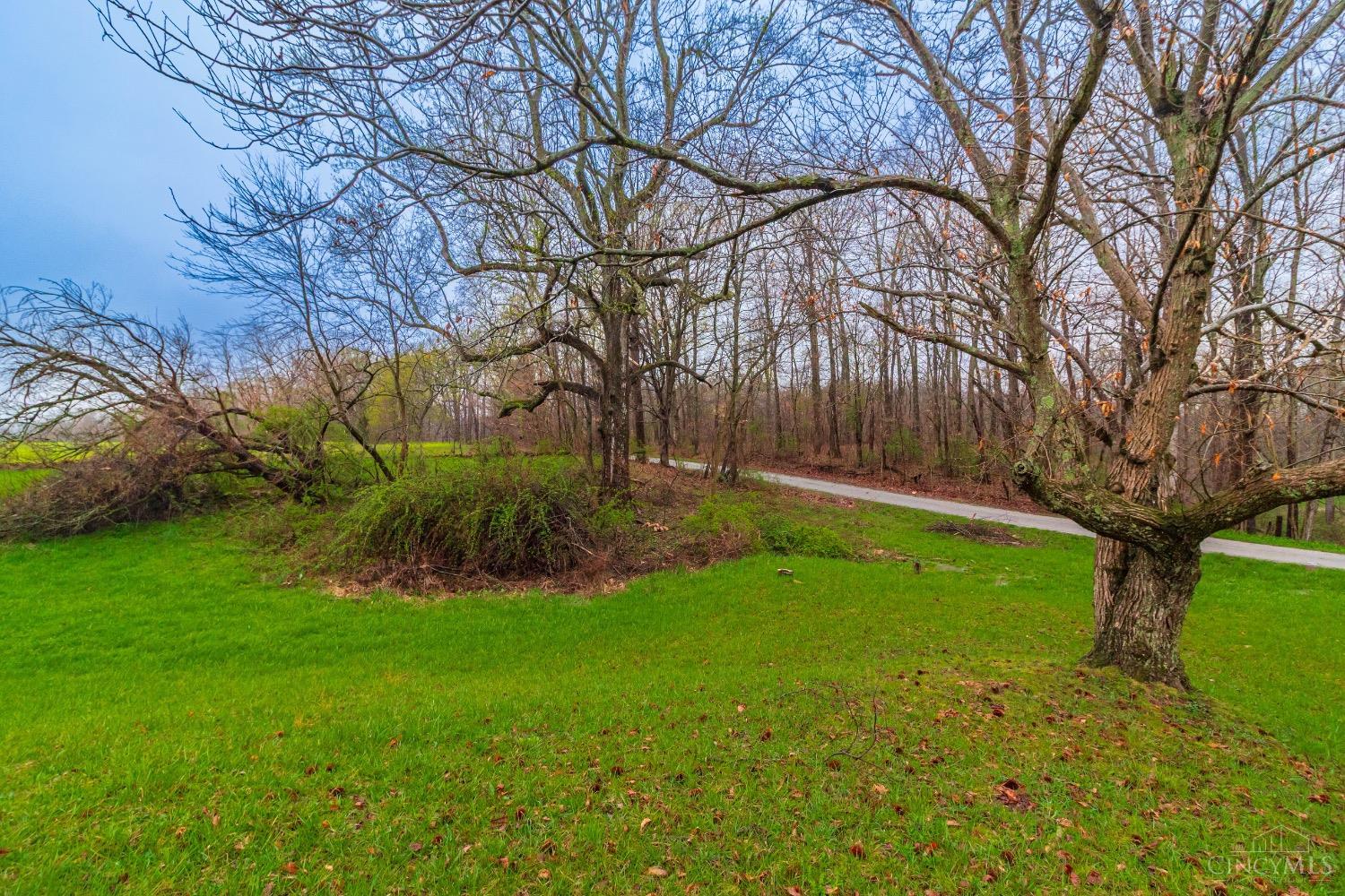 465 Dorsey Road, Winchester, Ohio image 20