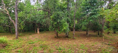 Photo for 398 Bear Creek Rd