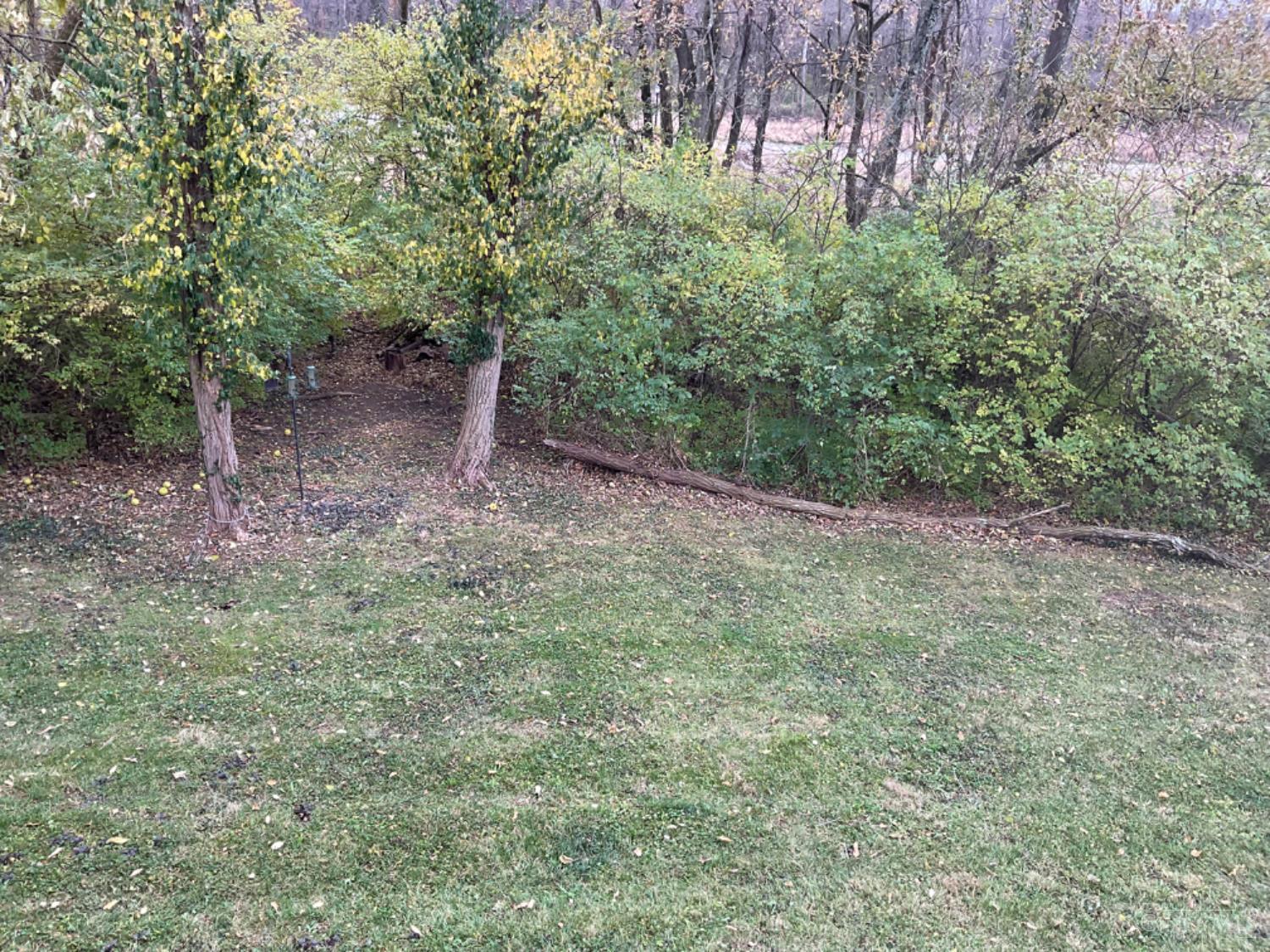 11231 Lincolnshire Drive