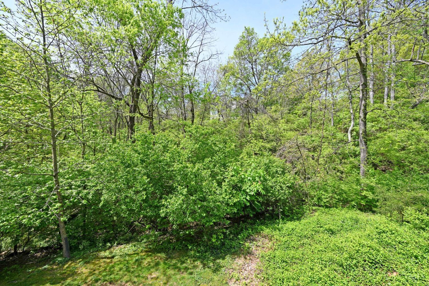 824 Woodscene Court, Anderson Twp, Ohio image 46