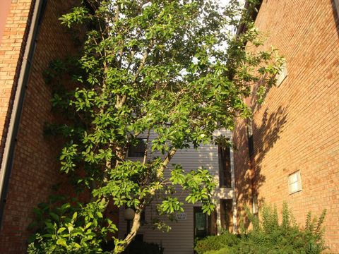 Condo For Sale - 4901 Chalet Drive #303<br/> Cincinnati, OH 45217