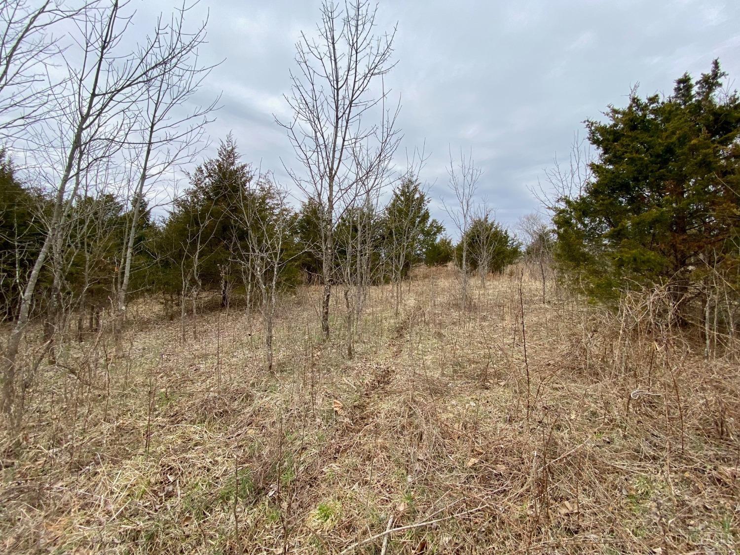 1483 May Hill Road, Peebles, Ohio image 13
