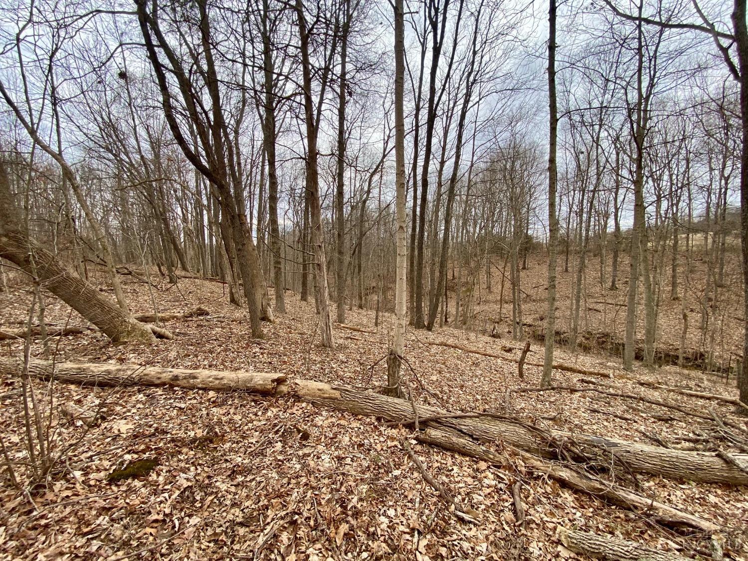 1483 May Hill Road, Peebles, Ohio image 12