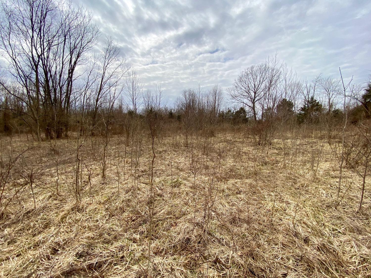 1483 May Hill Road, Peebles, Ohio image 8