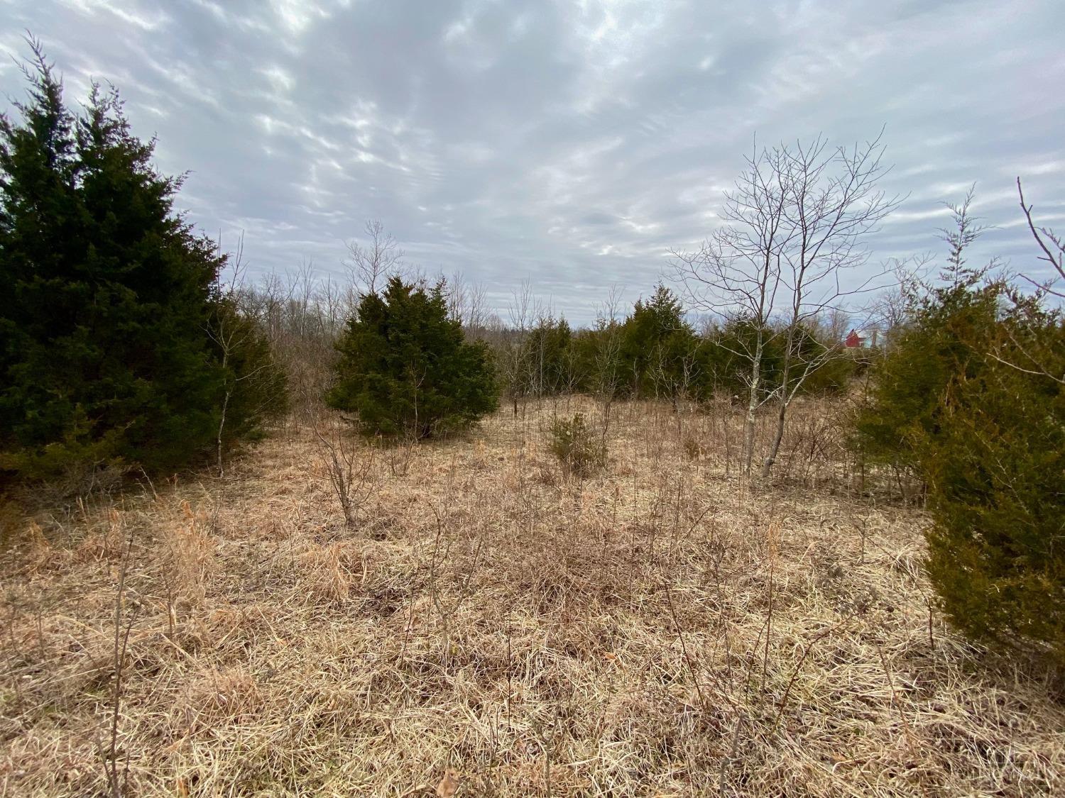 1483 May Hill Road, Peebles, Ohio image 15
