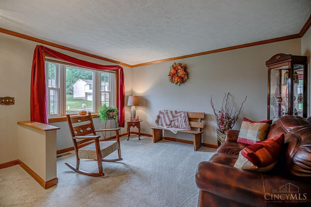 923 Beechmeadow Lane