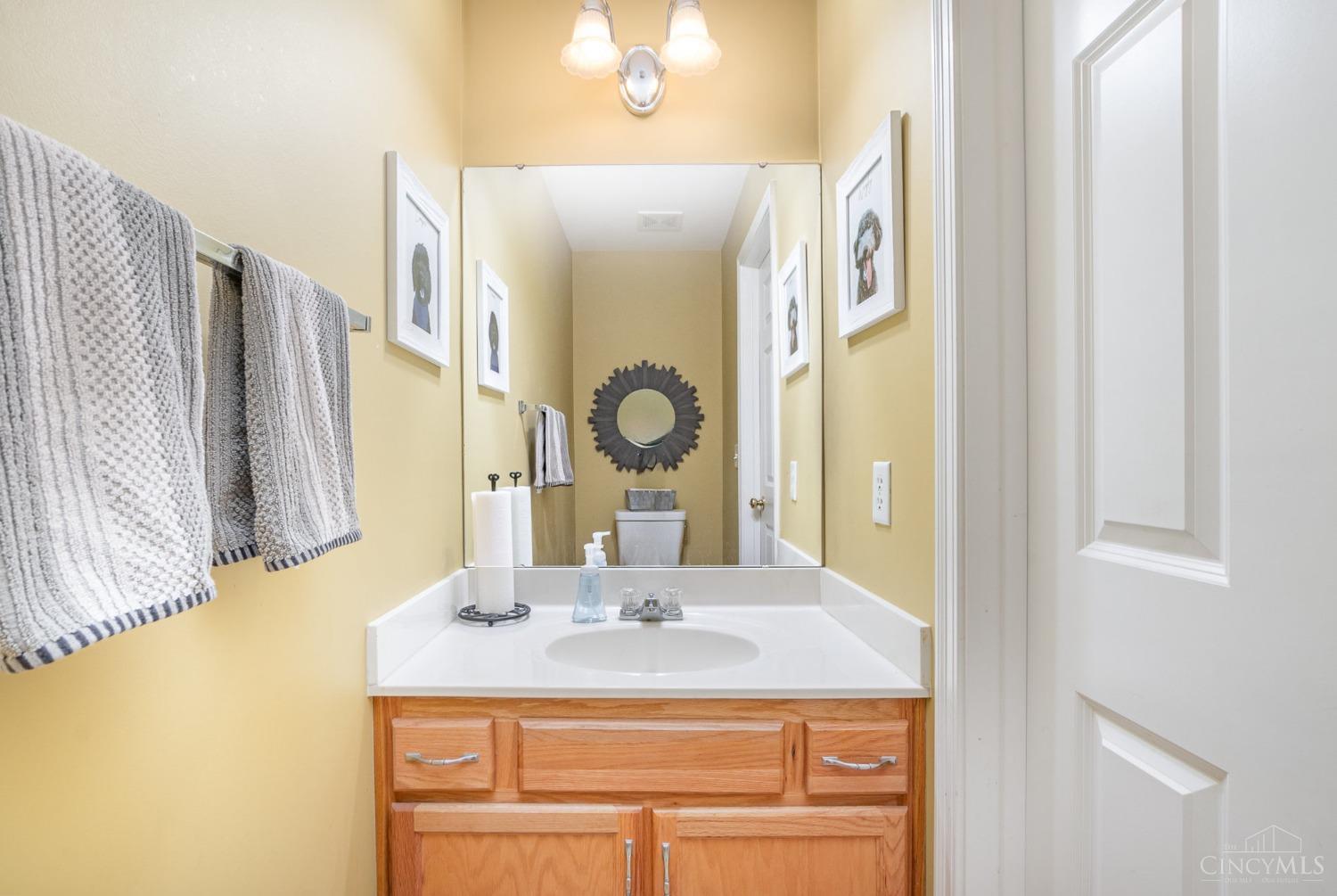 8230 Springleaf Lake Drive, Colerain Twp, Ohio image 13