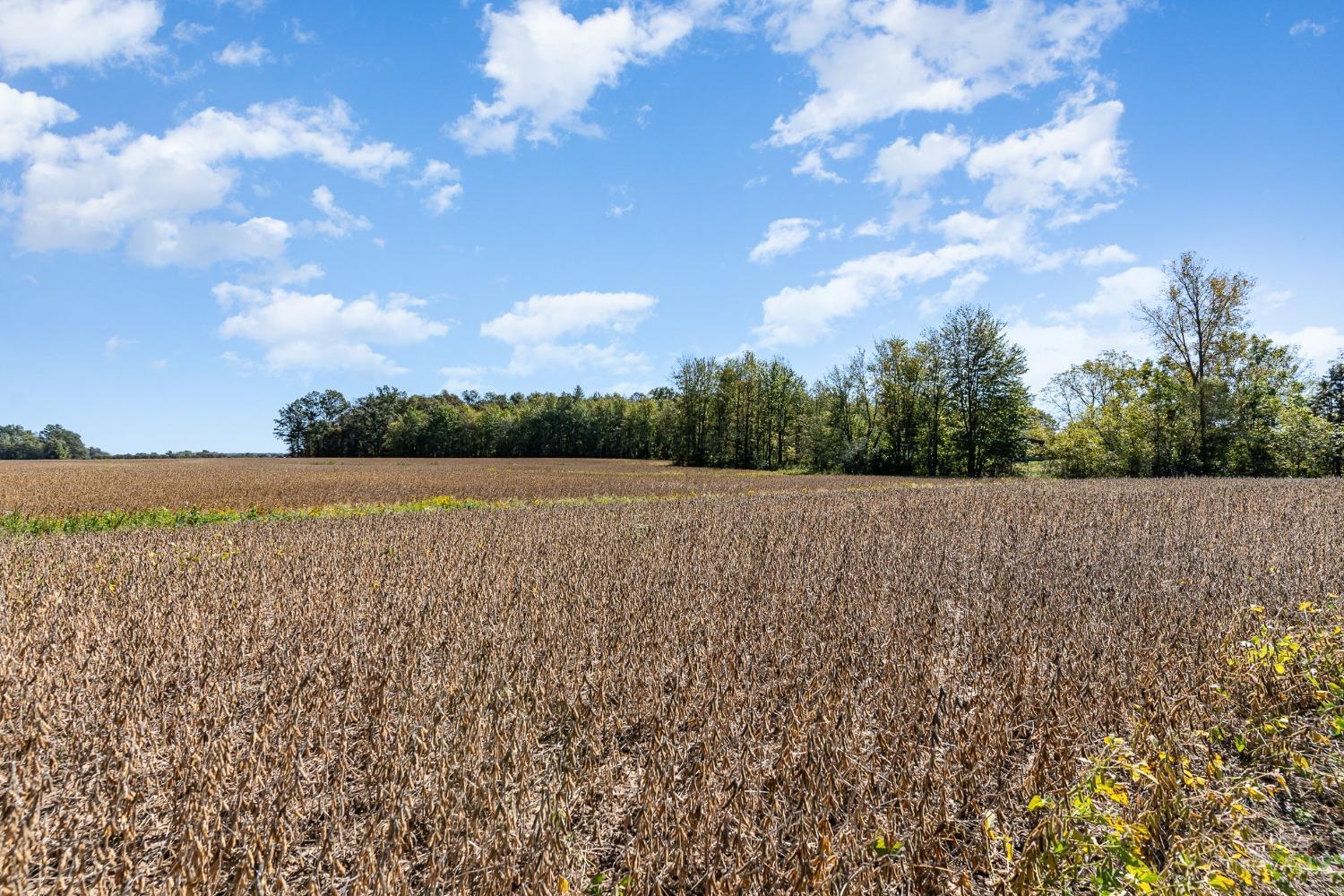 AC Martin Alexander Road, Sardinia, Ohio image 6