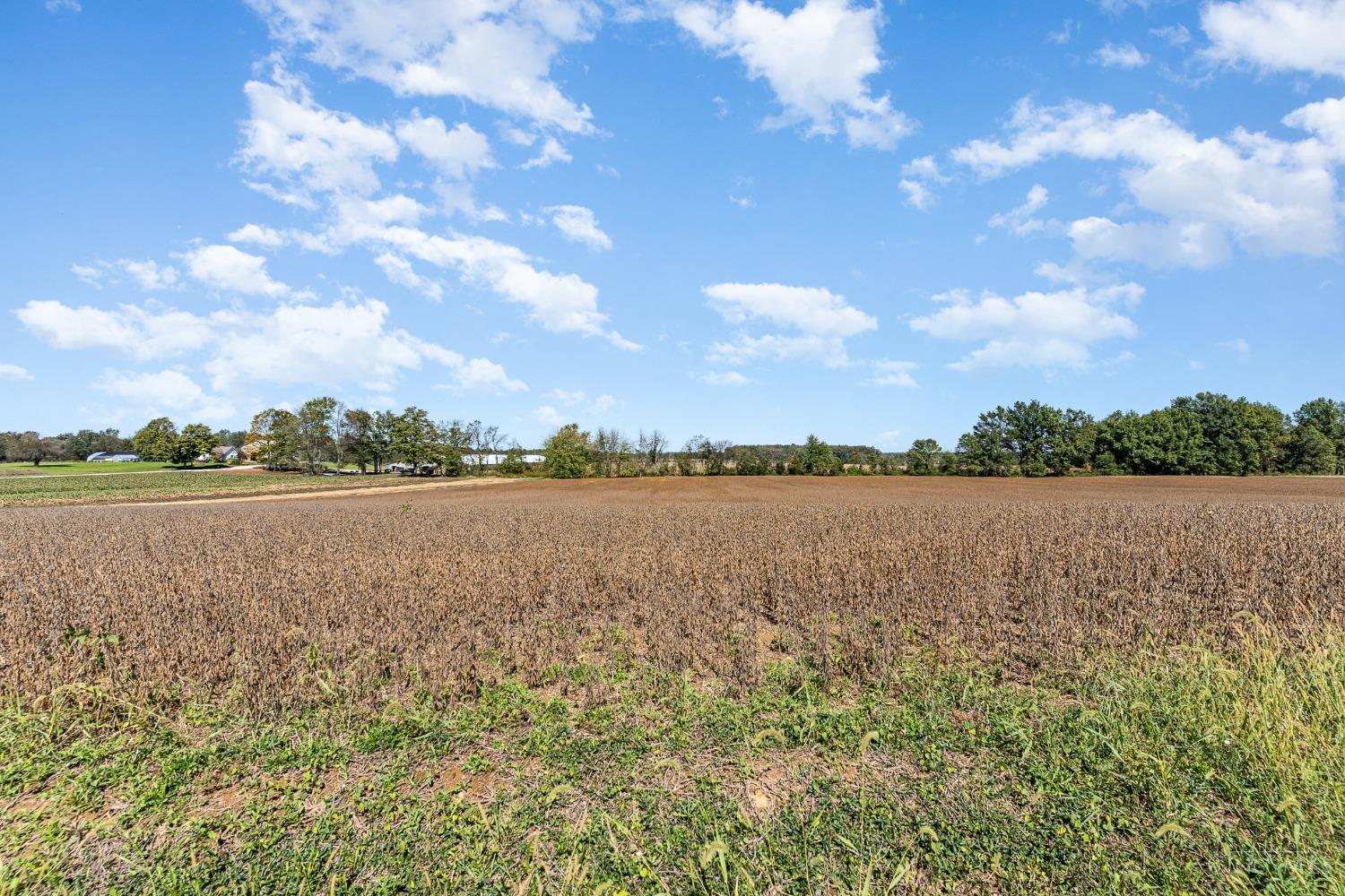 AC Martin Alexander Road, Sardinia, Ohio image 8