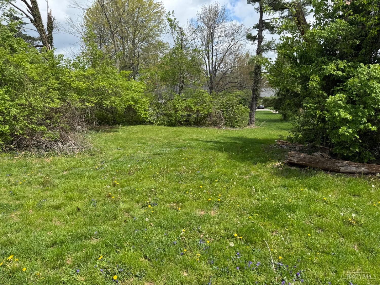 1520 Clovernoll Drive, North College Hill, Ohio image 4