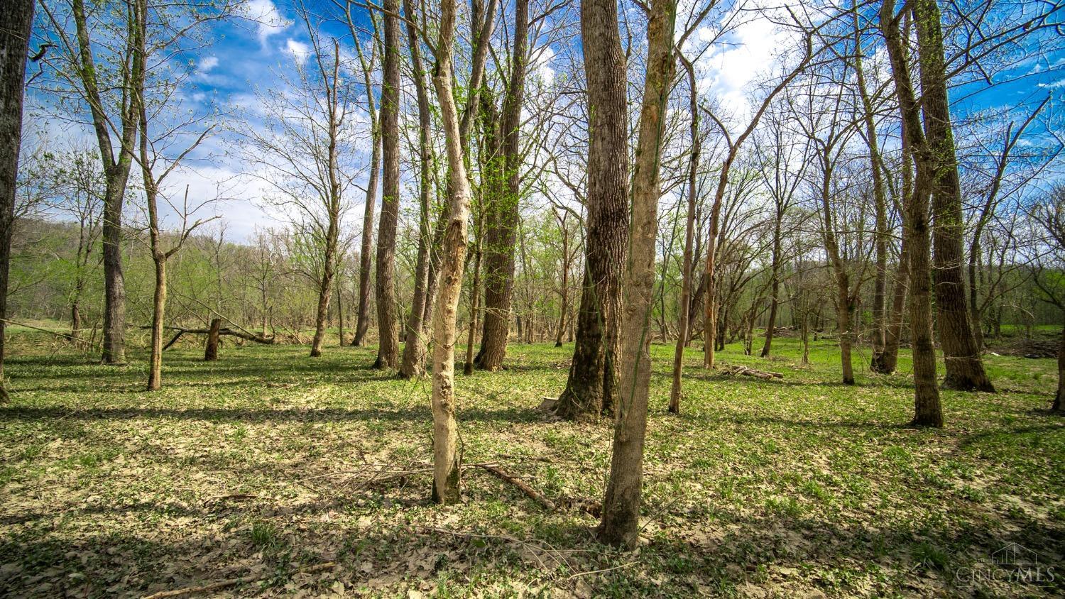 4702 Brush Creek Road, Monroe, Ohio image 27