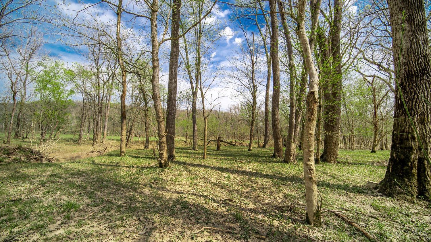 4702 Brush Creek Road, Monroe, Ohio image 33