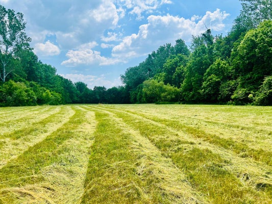 PRINCETON RD, HAMILTON, OH 45011 - Image f6dba83a2b636c22f20d8348807e00a7/1771790729