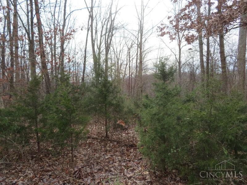 7730 Beavers Ridge Road