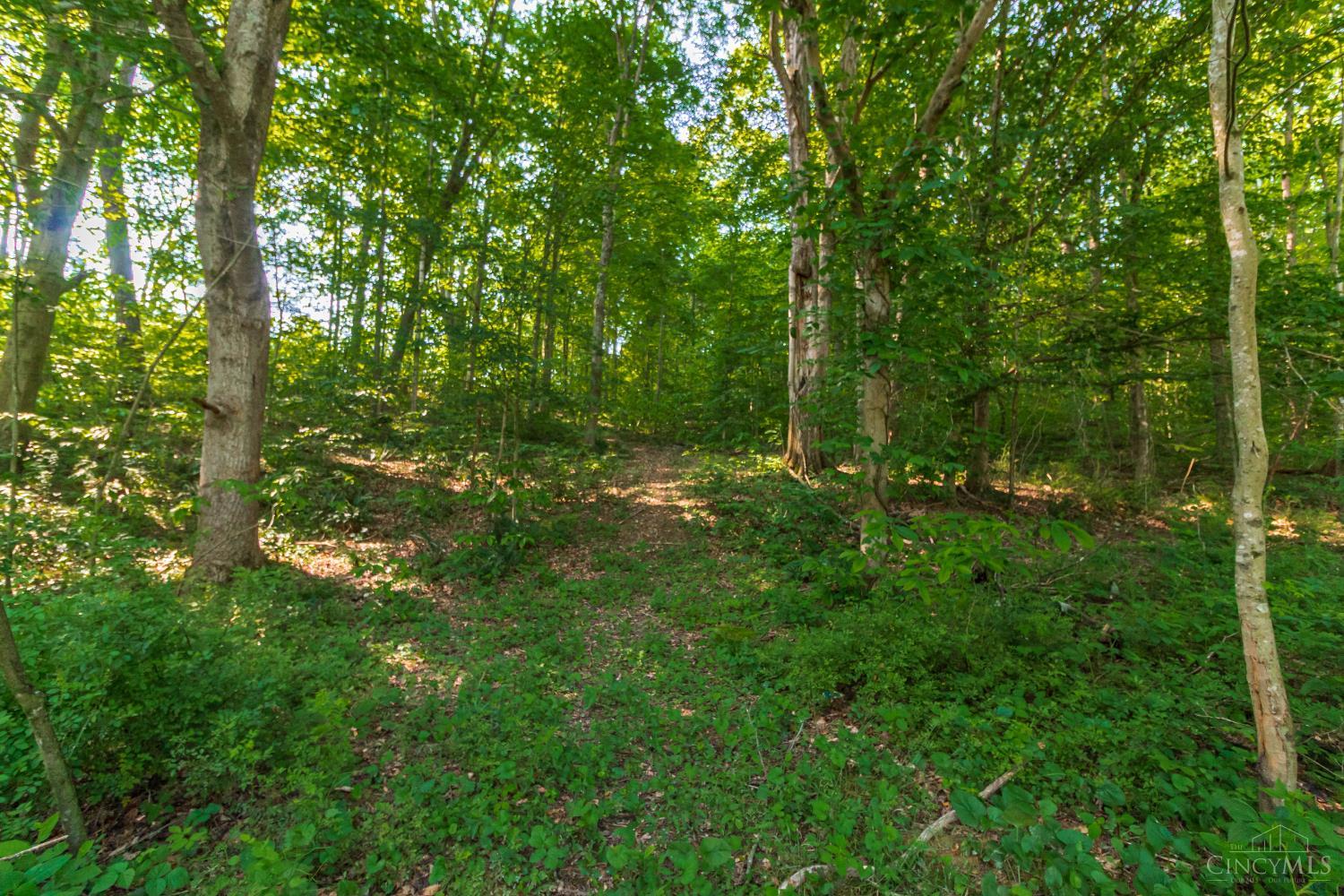 8065 St Rt 348, Blue Creek, Ohio image 13