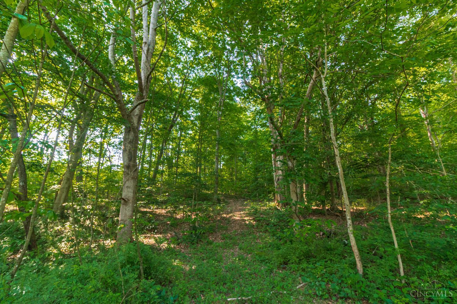 8065 St Rt 348, Blue Creek, Ohio image 12