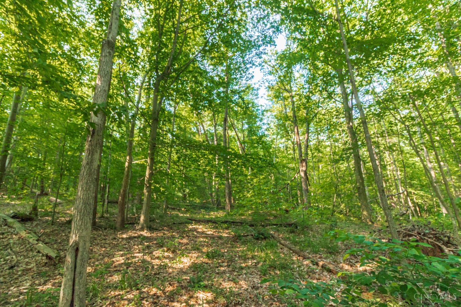 8065 St Rt 348, Blue Creek, Ohio image 16