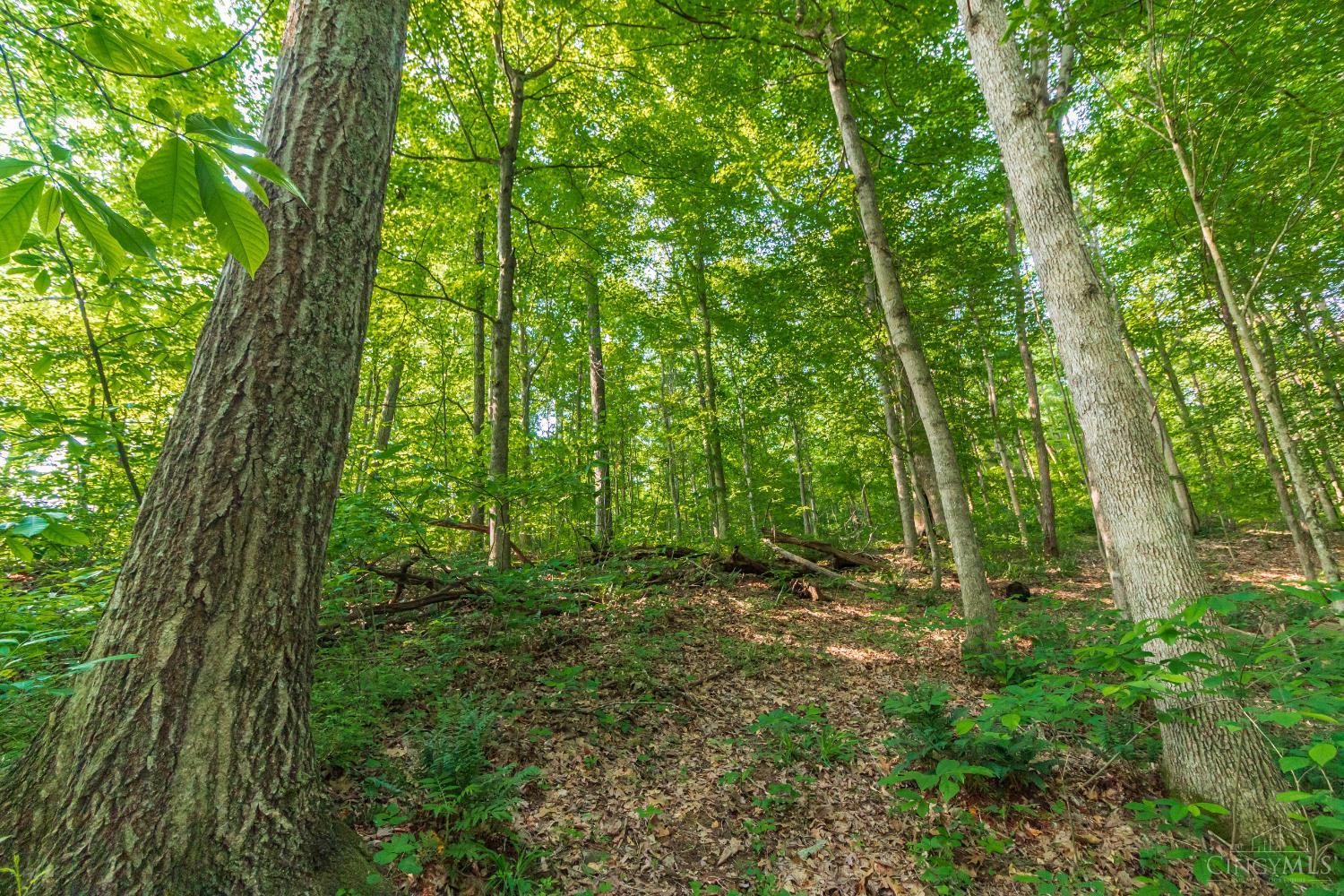 8065 St Rt 348, Blue Creek, Ohio image 15