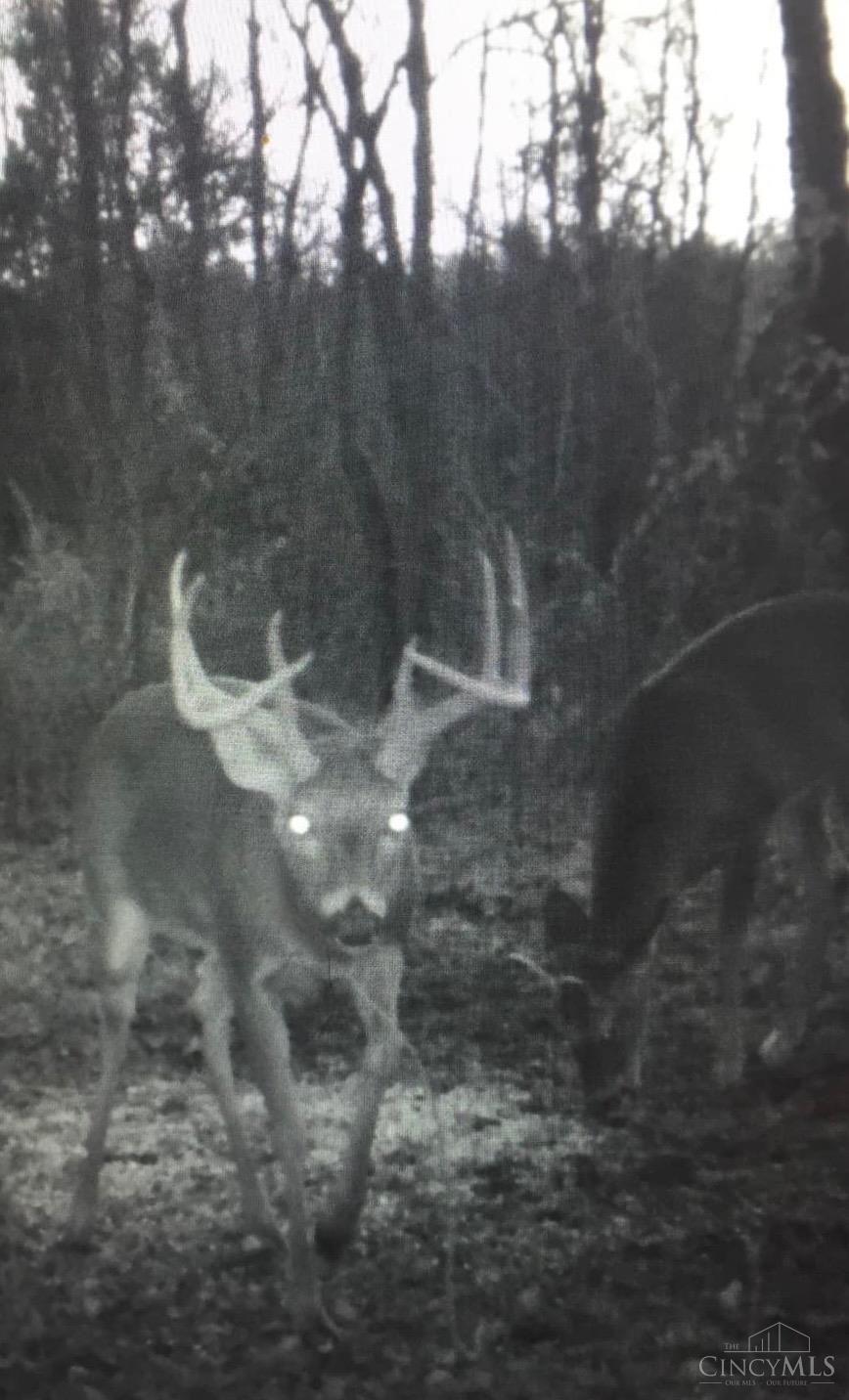 455 Waggoner Riffle Road, Lynx, Ohio image 7