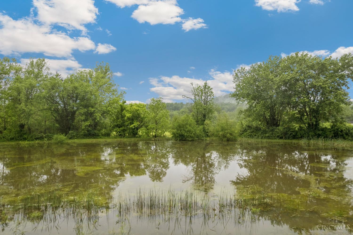 455 Waggoner Riffle Road, Lynx, Ohio image 3