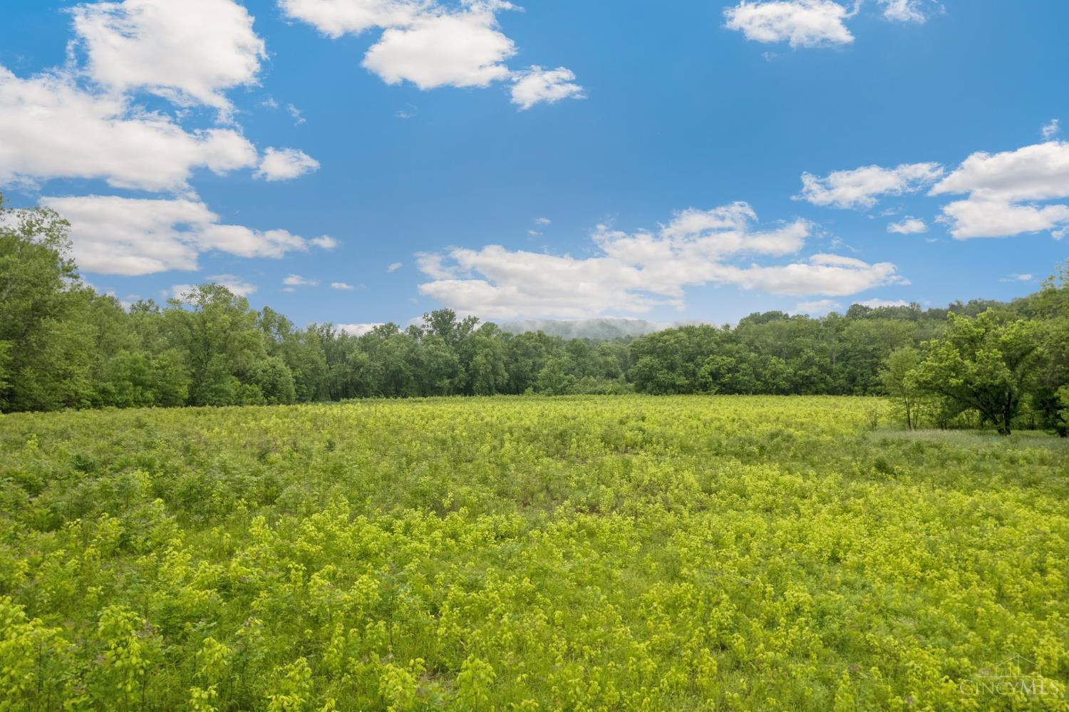 455 Waggoner Riffle Road, Lynx, Ohio image 30