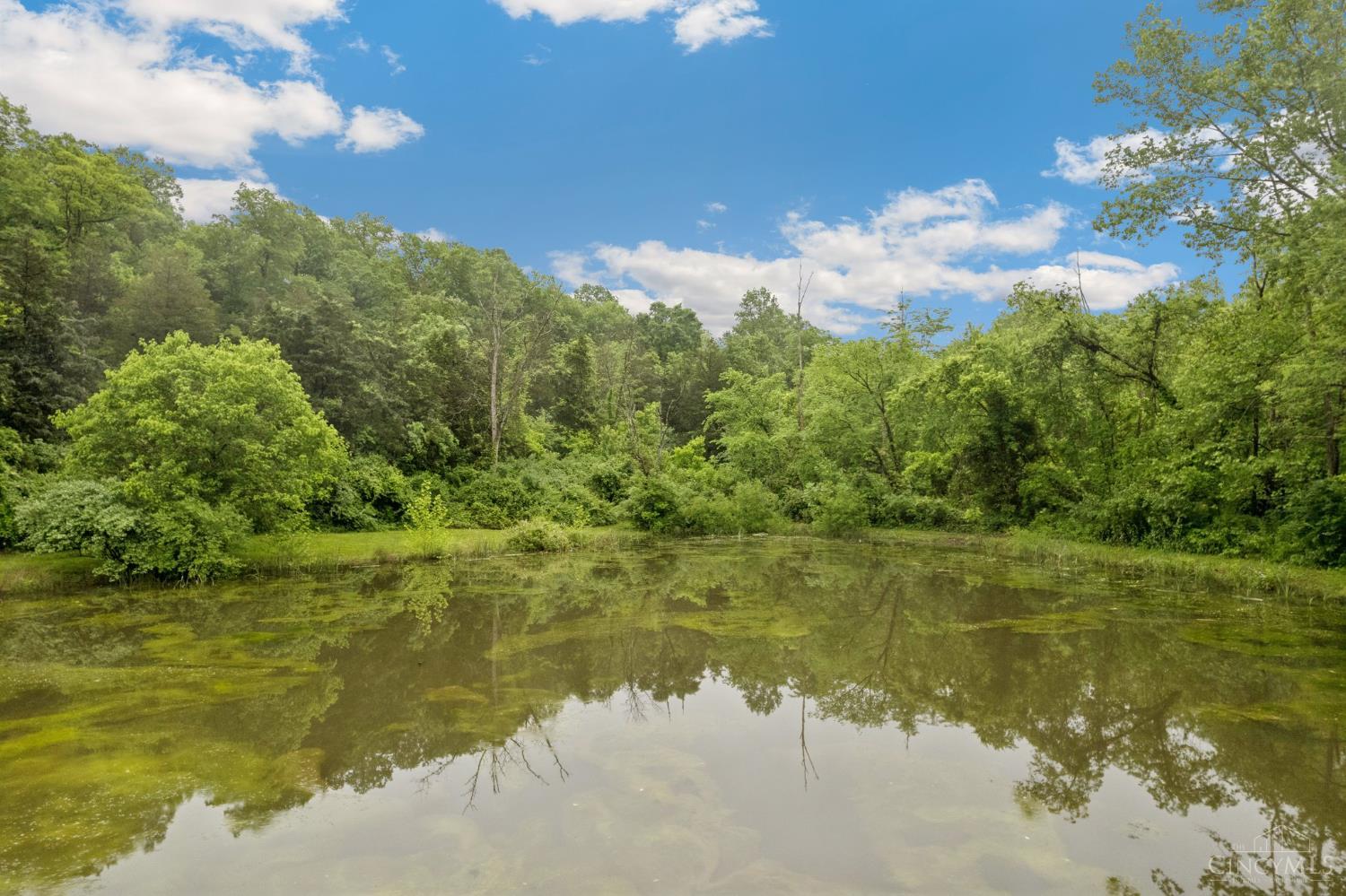 455 Waggoner Riffle Road, Lynx, Ohio image 4