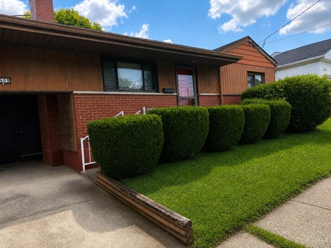 Photo of 5608 Fenwick Avenue, Norwood, OH 45212 (MLS # 1888618)