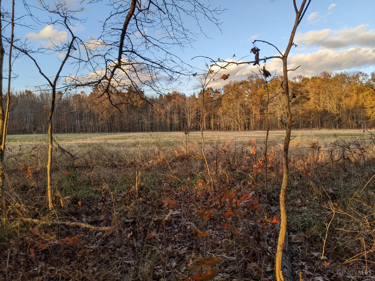 Acres Yankeetown Road, Clark Twp, Ohio image 6