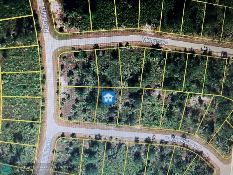Listing image 2