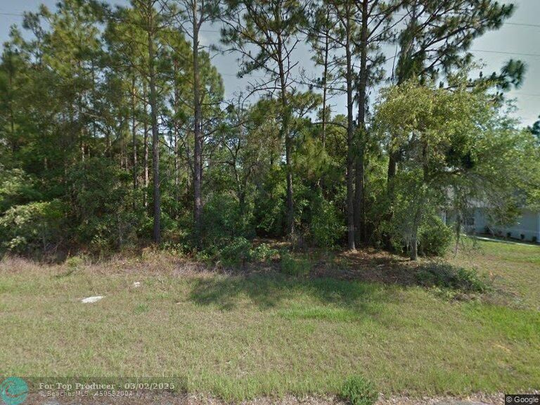 Listing image 1