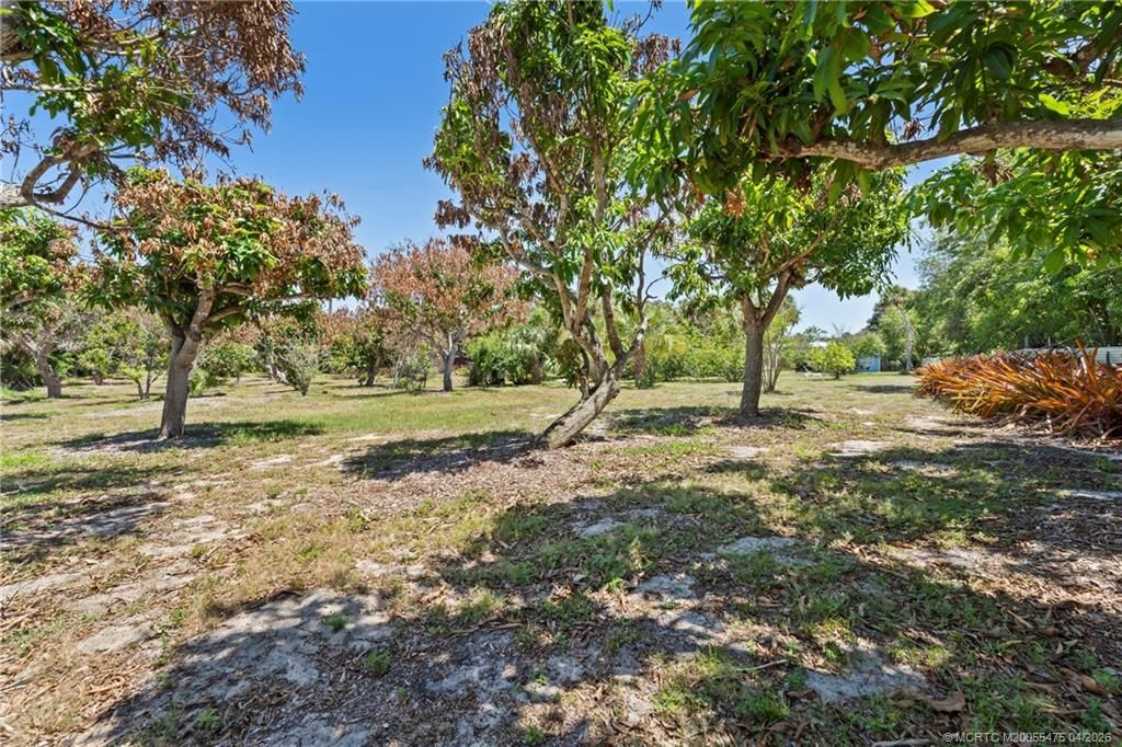 Photo of 2614 NE Palm Avenue, Jensen Beach, FL 34957 (MLS # M20055475)