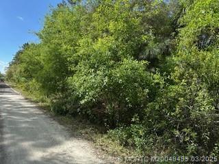 unassigned Moss Avenue