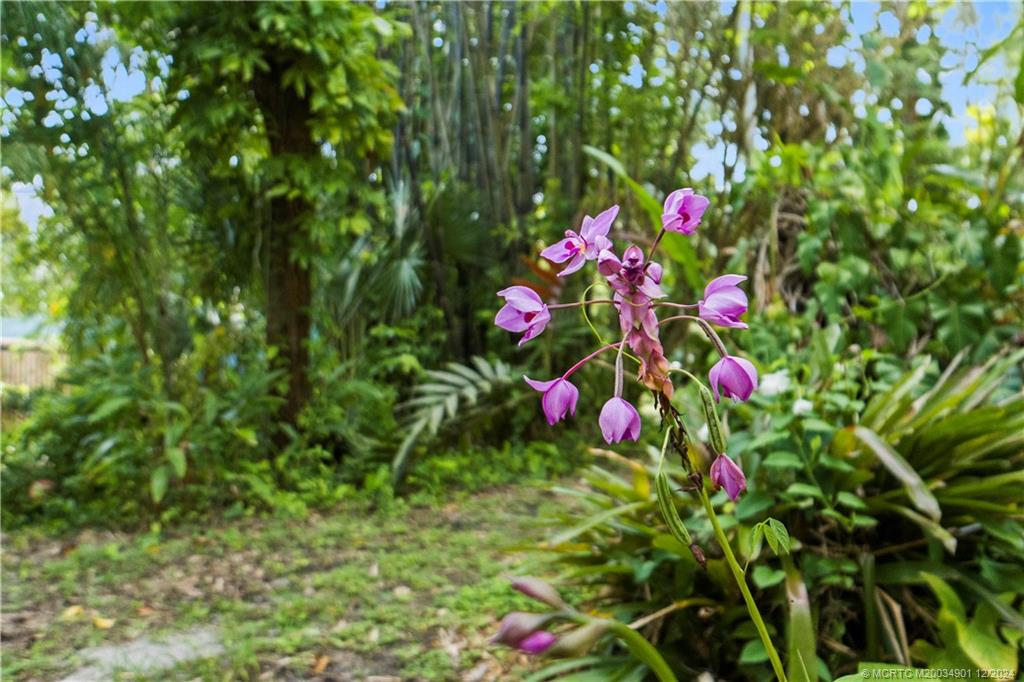 Palm City, Florida 34990, United States, 5 Bedrooms Bedrooms, ,4 BathroomsBathrooms,Residential,Pending,74669