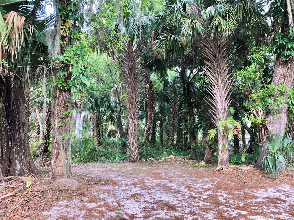 Photo of 0 SW Pine View Avenue, Indiantown, FL 34956 (MLS # M20043454)