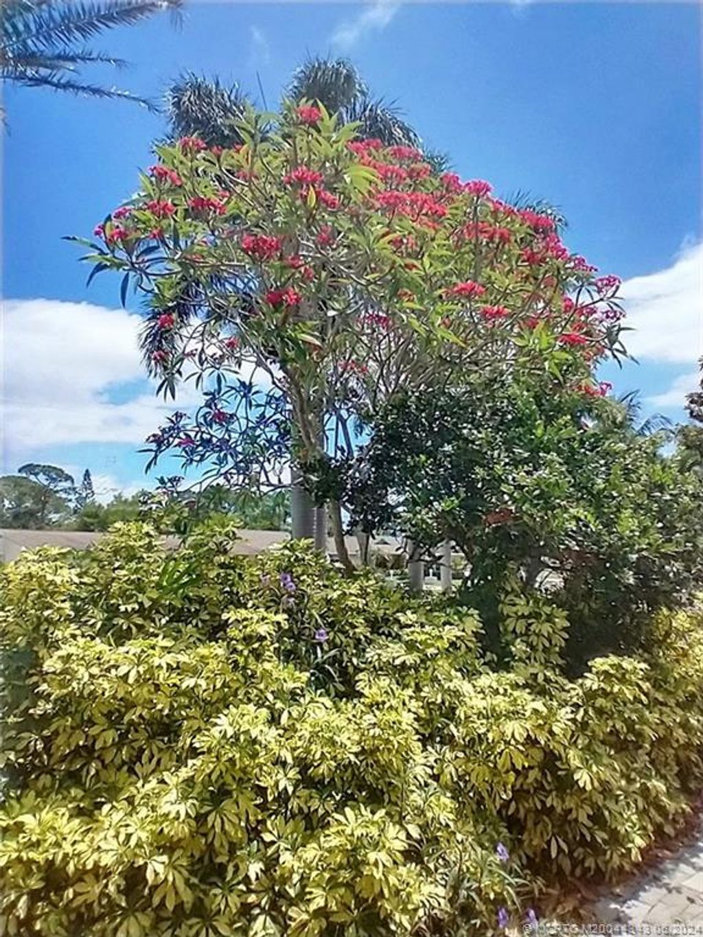 Photo of 1210 SE Mcfarlane Avenue, Port Saint Lucie, FL 34952 (MLS # M20044343)