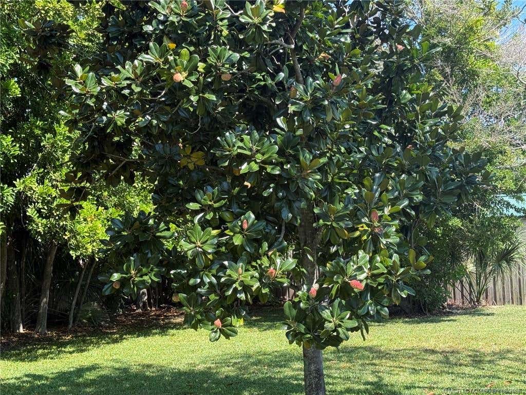 Photo of 2457 NE Wilda Street NE, Jensen Beach, FL 34957 (MLS # M20056499)