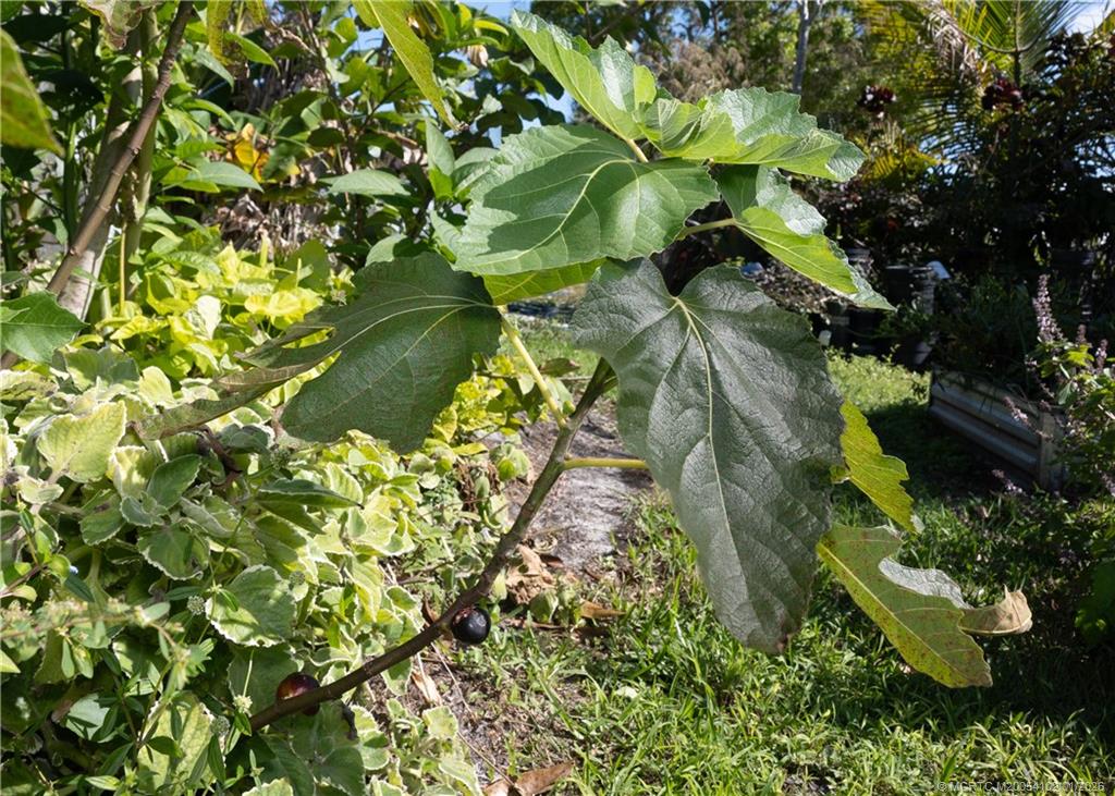 3121 Old Edwards Road